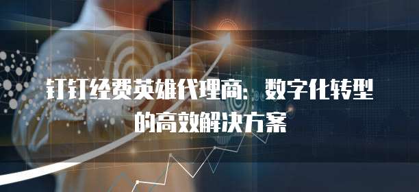 钉钉经费英雄代理商:数字化转型的高效解决方案