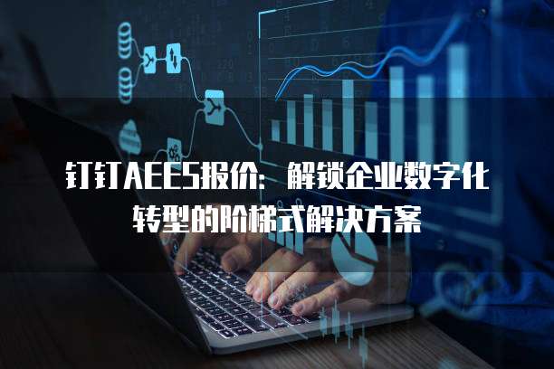 钉钉AEES报价：解锁企业数字化转型的阶梯式解决方案