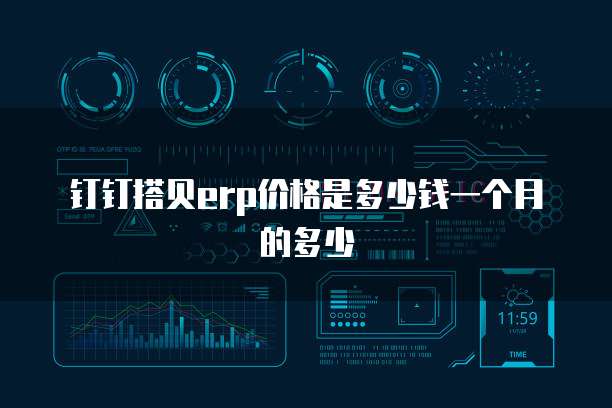 钉钉搭贝erp价格是多少钱一个月的多少