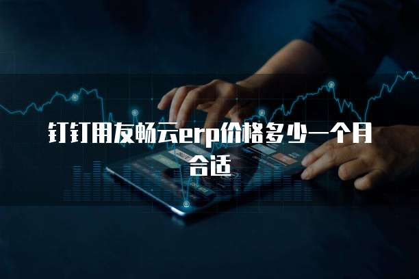 钉钉用友畅云erp价格多少一个月合适