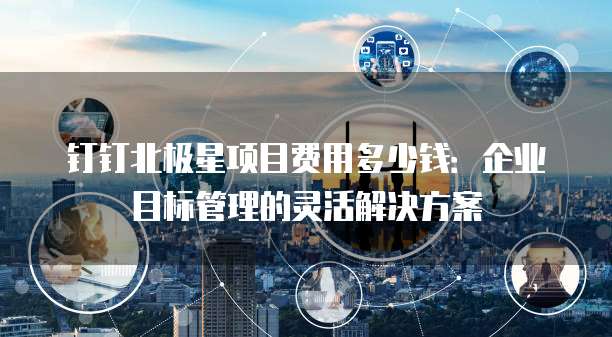 钉钉北极星项目费用多少钱:企业目标管理的灵活解决方案
