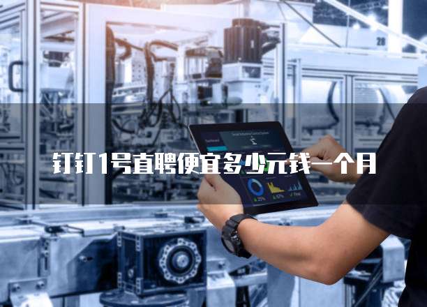 钉钉1号直聘便宜多少元钱一个月