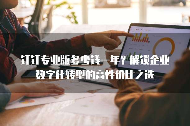 钉钉专业版多少钱一年?解锁企业数字化转型的高性价比之选