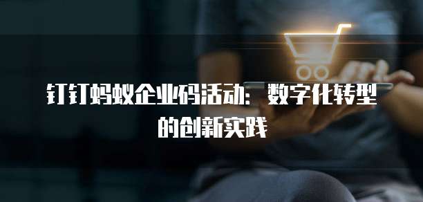 钉钉蚂蚁企业码活动:数字化转型的创新实践