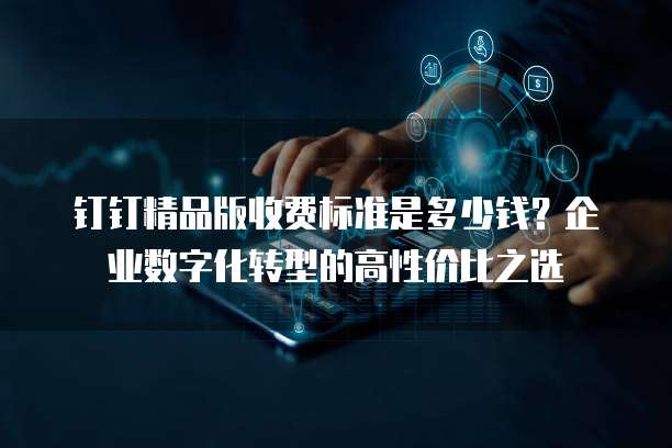 钉钉精品版收费标准是多少钱?企业数字化转型的高性价比之选