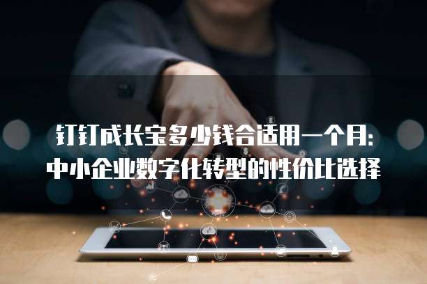 钉钉成长宝多少钱合适用一个月:中小企业数字化转型的性价比选择