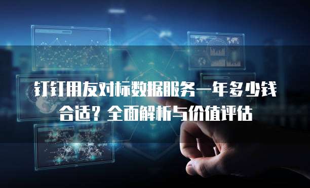 钉钉用友对标数据服务一年多少钱合适？全面解析与价值评估