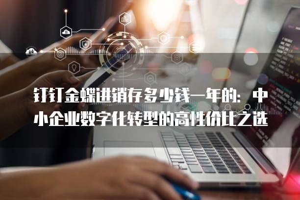 钉钉金蝶进销存多少钱一年的：中小企业数字化转型的高性价比之选