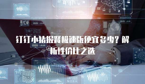 钉钉小猪报餐极速版便宜多少？解析性价比之选