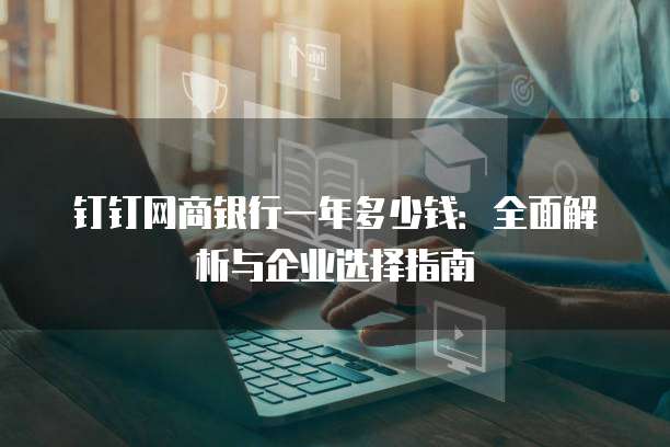 钉钉网商银行一年多少钱:全面解析与企业选择指南