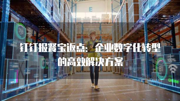 钉钉报餐宝返点:企业数字化转型的高效解决方案