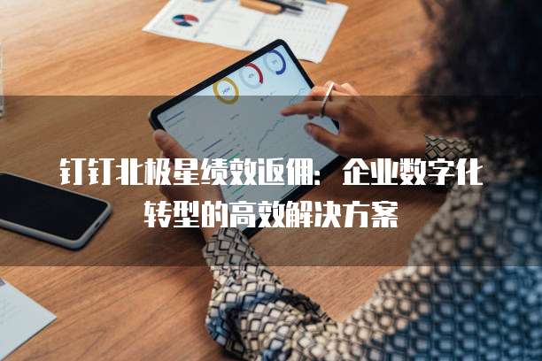 钉钉北极星绩效返佣:企业数字化转型的高效解决方案