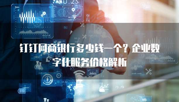 钉钉网商银行多少钱一个?企业数字化服务价格解析