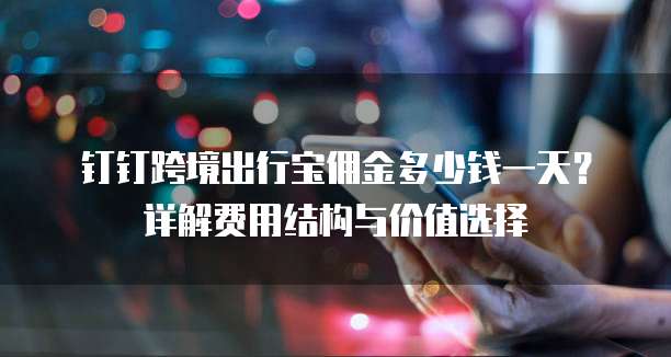 钉钉跨境出行宝佣金多少钱一天?详解费用结构与价值选择