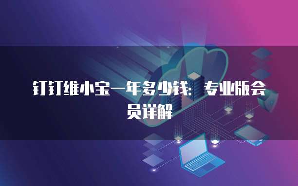 钉钉维小宝一年多少钱：专业版会员详解
