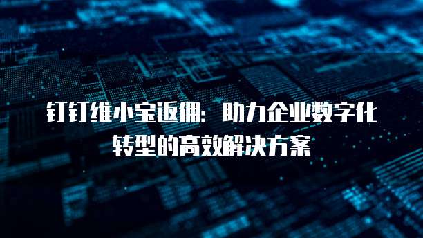 钉钉维小宝返佣:助力企业数字化转型的高效解决方案