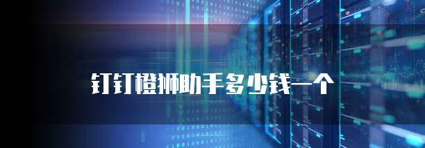 钉钉橙狮助手多少钱一个