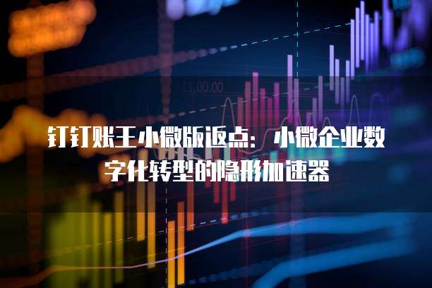 钉钉账王小微版返点：小微企业数字化转型的隐形加速器