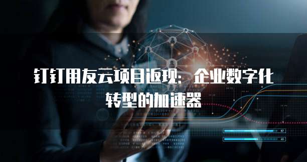 钉钉用友云项目返现：企业数字化转型的加速器