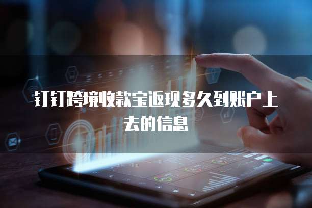 钉钉跨境收款宝返现多久到账户上去的信息
