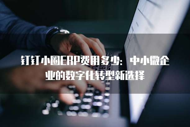 钉钉小圈ERP费用多少：中小微企业的数字化转型新选择