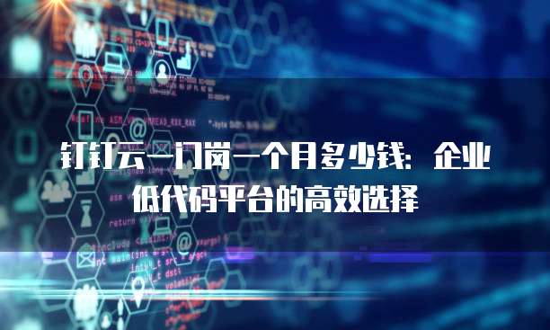 钉钉云一门岗一个月多少钱:企业低代码平台的高效选择