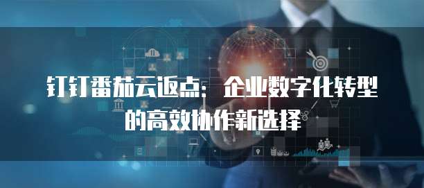 钉钉番茄云返点：企业数字化转型的高效协作新选择