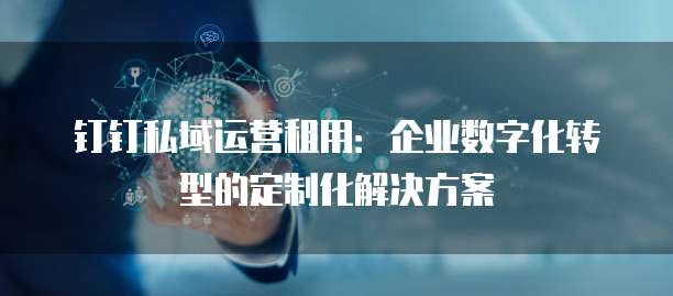 钉钉私域运营租用：企业数字化转型的定制化解决方案
