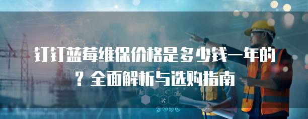 钉钉蓝莓维保价格是多少钱一年的?全面解析与选购指南