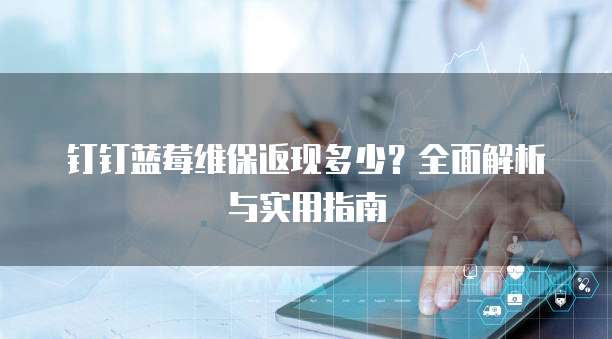 钉钉蓝莓维保返现多少?全面解析与实用指南