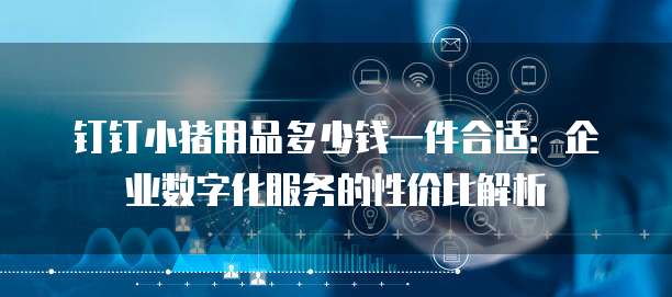 钉钉小猪用品多少钱一件合适：企业数字化服务的性价比解析