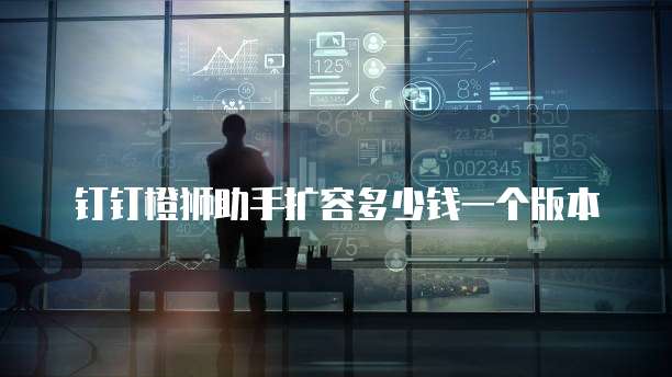 钉钉橙狮助手扩容多少钱一个版本