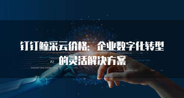 钉钉鲸采云价格:企业数字化转型的灵活解决方案