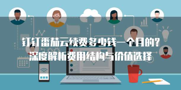 钉钉番茄云续费多少钱一个月的？深度解析费用结构与价值选择