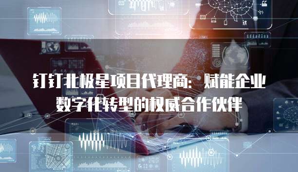 钉钉北极星项目代理商:赋能企业数字化转型的权威合作伙伴