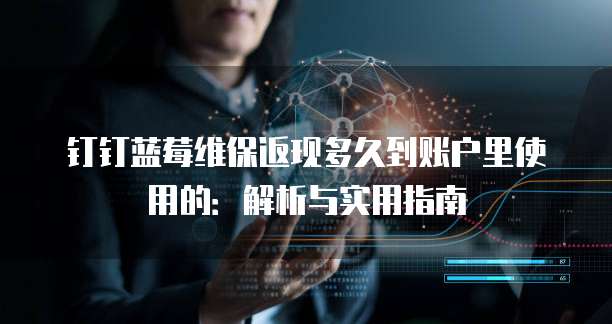 钉钉蓝莓维保返现多久到账户里使用的:解析与实用指南