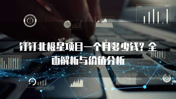 钉钉北极星项目一个月多少钱?全面解析与价值分析