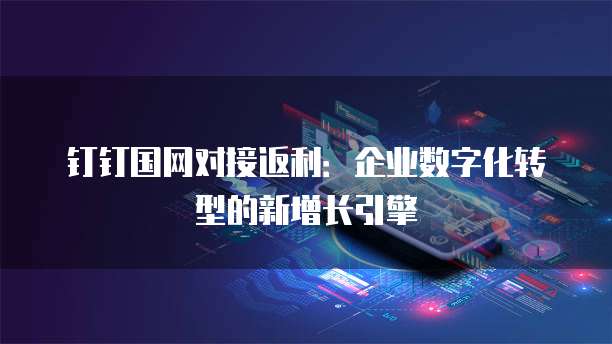 钉钉国网对接返利:企业数字化转型的新增长引擎