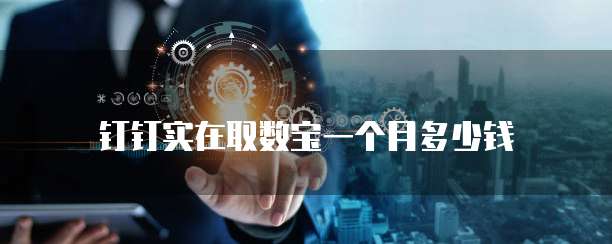 钉钉实在取数宝一个月多少钱