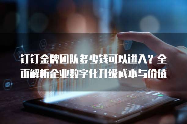 钉钉金牌团队多少钱可以进入？全面解析企业数字化升级成本与价值