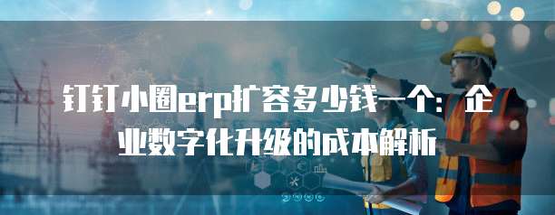 钉钉小圈erp扩容多少钱一个:企业数字化升级的成本解析