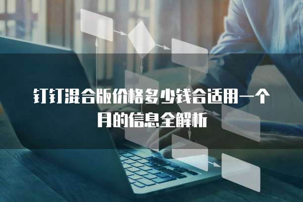 钉钉混合版价格多少钱合适用一个月的信息全解析