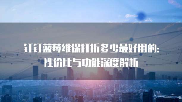 钉钉蓝莓维保打折多少最好用的:性价比与功能深度解析