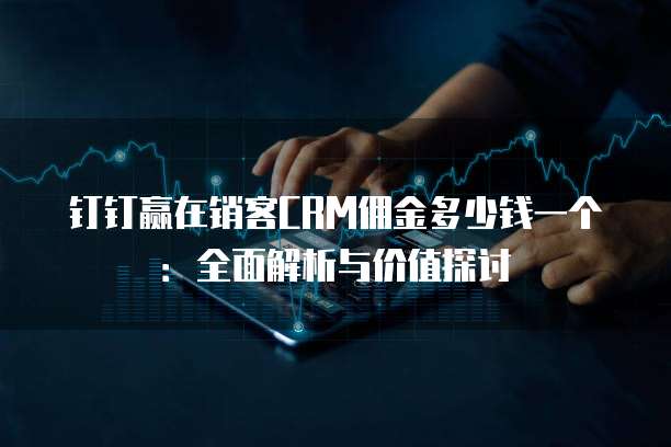 钉钉赢在销客CRM佣金多少钱一个:全面解析与价值探讨