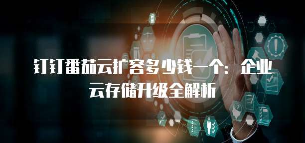 钉钉番茄云扩容多少钱一个:企业云存储升级全解析