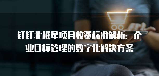 钉钉北极星项目收费标准解析:企业目标管理的数字化解决方案