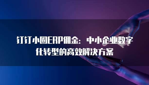 钉钉小圈ERP佣金:中小企业数字化转型的高效解决方案