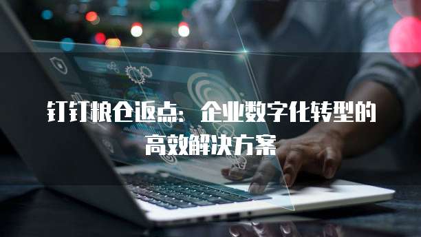 钉钉粮仓返点：企业数字化转型的高效解决方案