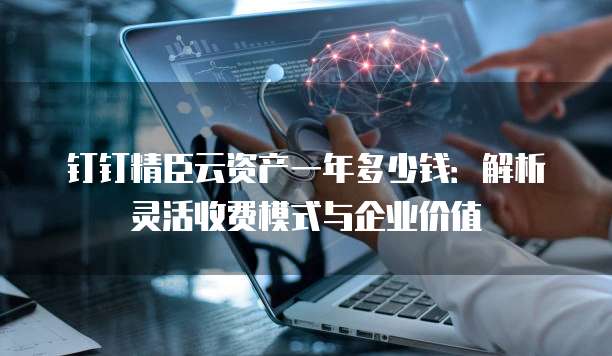 钉钉精臣云资产一年多少钱:解析灵活收费模式与企业价值