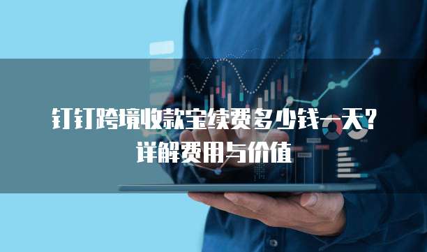 钉钉跨境收款宝续费多少钱一天?详解费用与价值